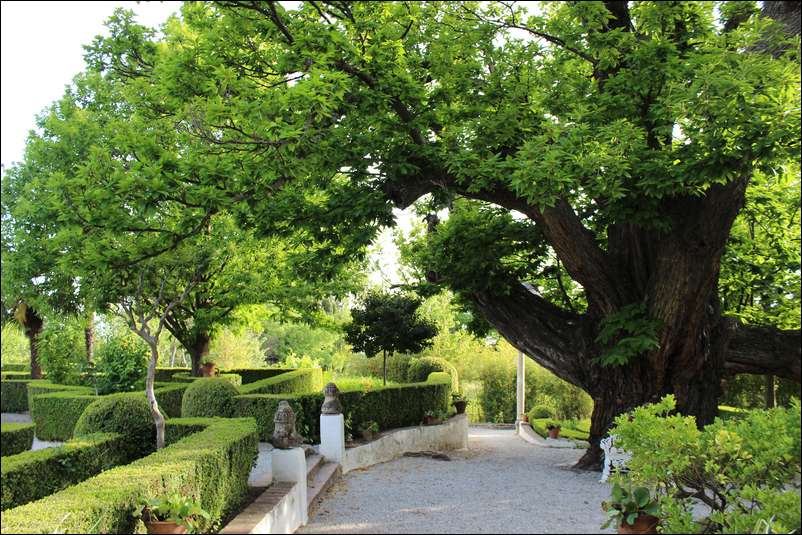 jardines-muller-niguelas003